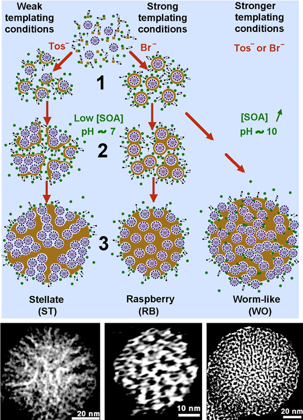  Fine control on size and pore morphomogy in Silica Nanoparticles