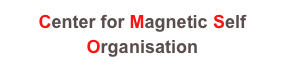 Center for Magnetic Self Organisation