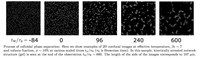 Numerical prediction of colloidal phase separation based on its scale-invariant nature