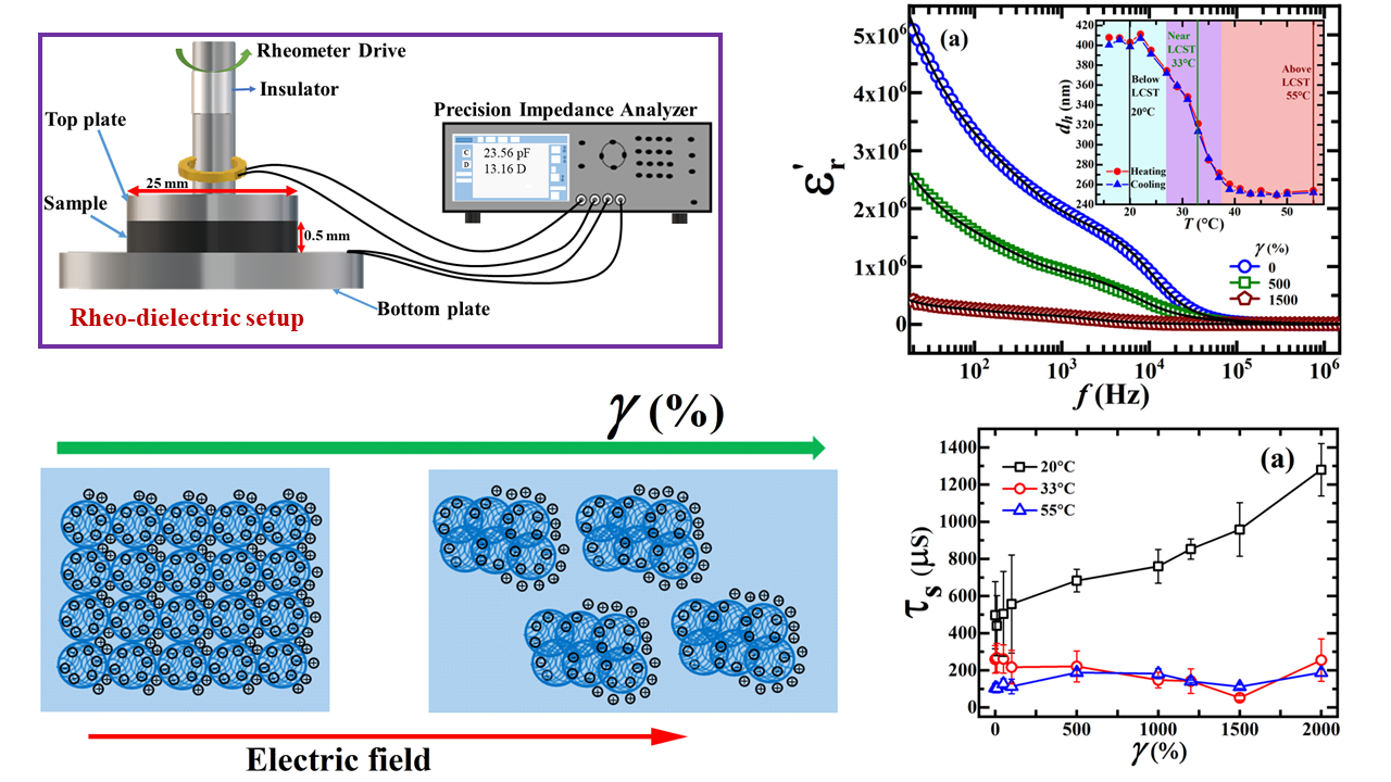 Dichotomous behavior of stress and dielectric relaxations in dense suspensions of swollen thermoreversible hydrogel microparticles