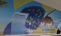 « Étonnant Vivant » : une nouvelle exposition à la station Montparnasse-Bienvenüe