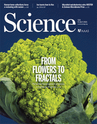 Life sciences : the formation of biological fractals