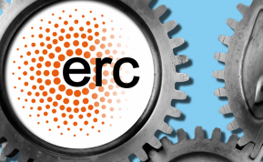 ERC Advanced Grant for Olivier Hamant