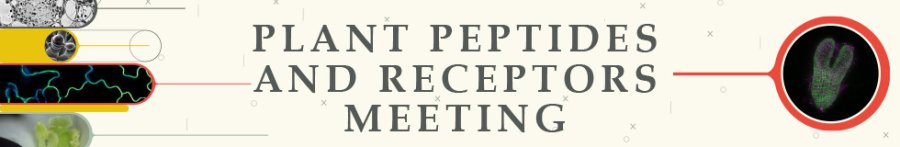 2023 Plant Peptides and Receptors Meeting will be held at ENS Lyon