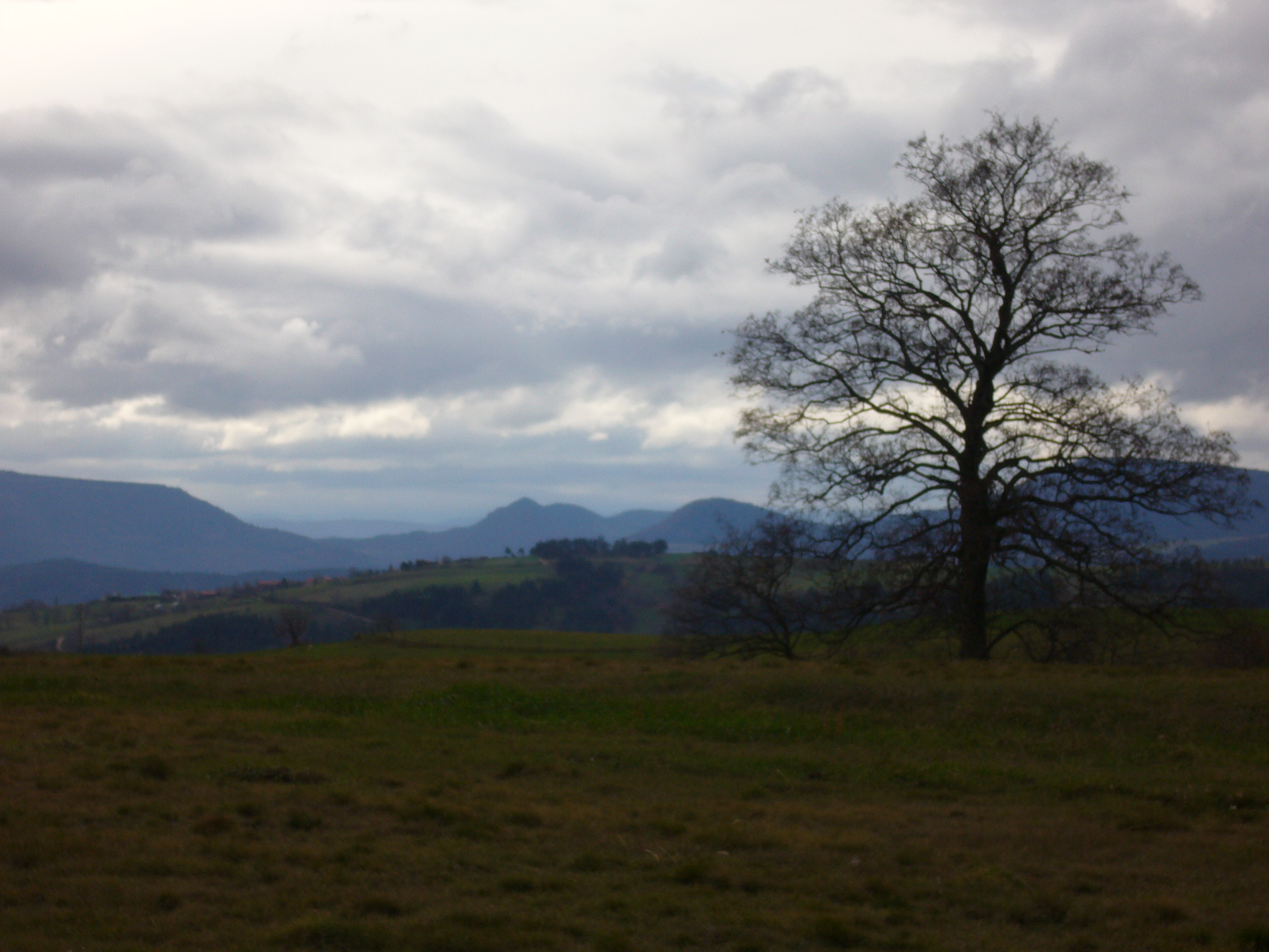 Paysage_1.jpg 