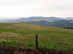 Vignette mars_08_022.jpg 