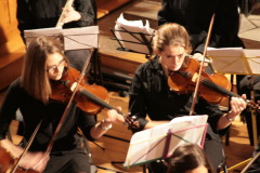 Vignette IMG_9543.JPG 