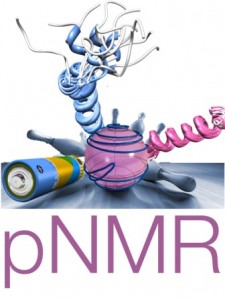 pNMR-logo1.jpg