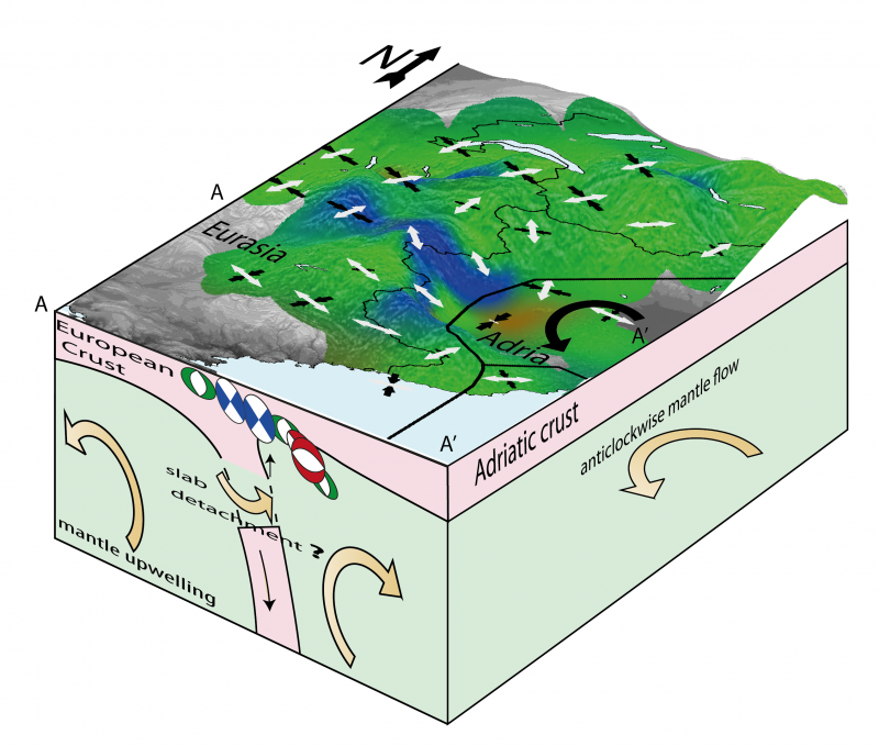 Current dynamics of the Western Alps proposed from seismic observations made between 1989 and 2013.