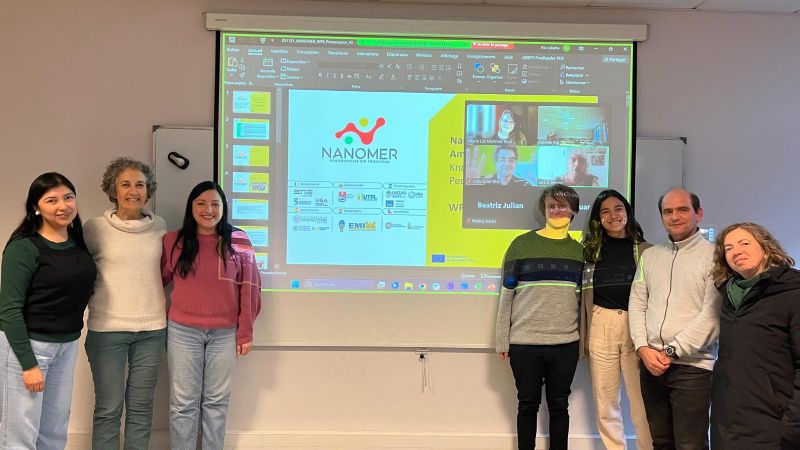 Nanomer workshop 2025
