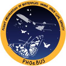 PHOeBUS Logo