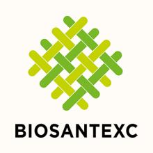 BSX logo