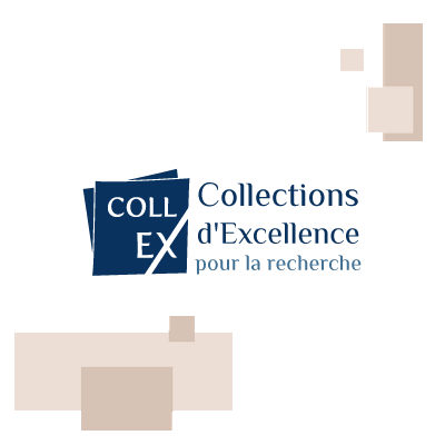 Logo CollEx