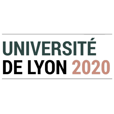 Logo Université de Lyon 2020