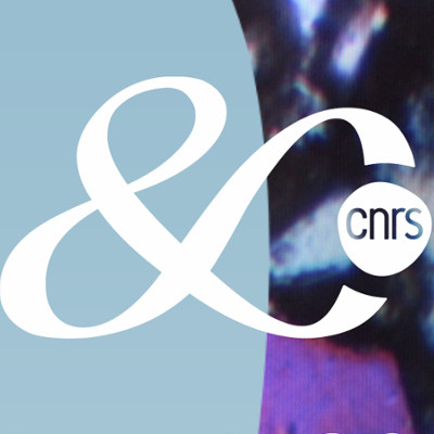 Logo 80 CNRS