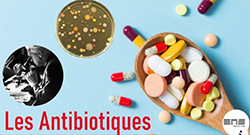 visuel antibiotiques