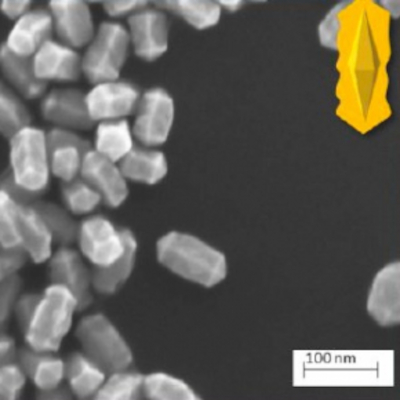 nanoparticules d'or en microscopie électronique