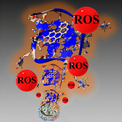 illustration _c_ Sabouri et al