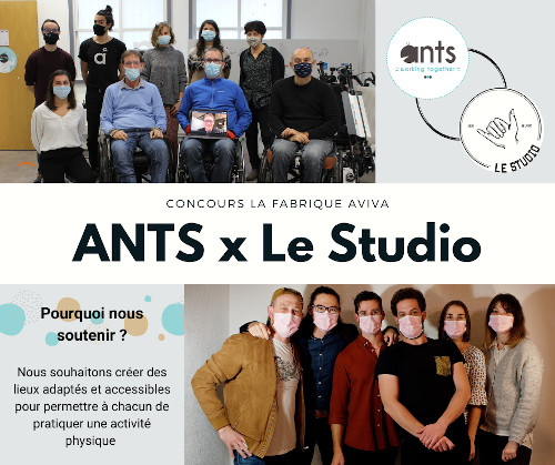 ANTS | Le Studi Belfort