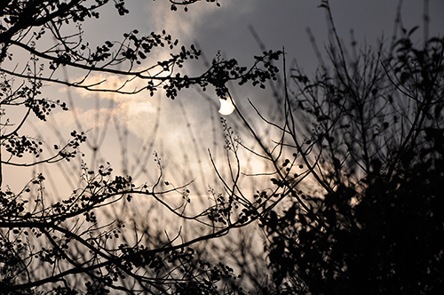 Eclipse partielle du 4 janvier 2011