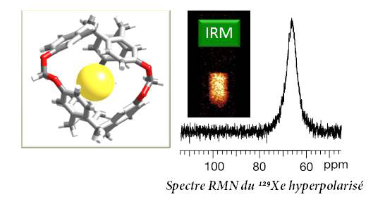 Spectre RMN du 129Xe hyperpolarisé. Thierry Brotin