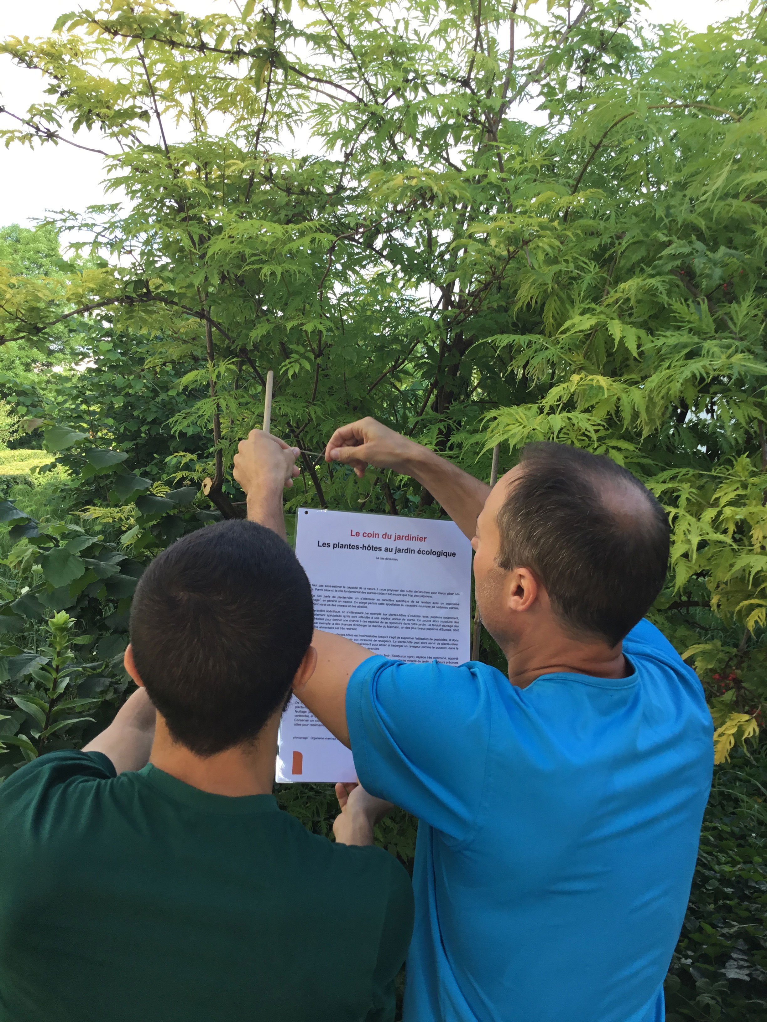 Photo des jardiniers installant les affiches