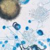Biologie : les micro-organismes et l'alimentation