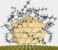 Theoretical approach to silver nanoparticles' morphology