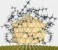 Theoretical approach to silver nanoparticles' morphology