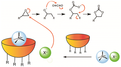 CO2 valorization Dutastat 2015