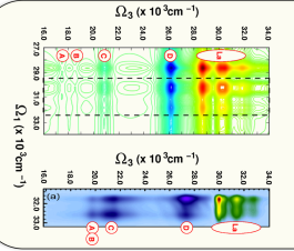 MOLCAS 8: New Capabilities for Multiconfigurational Quantum Chemical Calculations across the Periodic Table