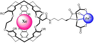 Xenon cryptophan ligand with zinc