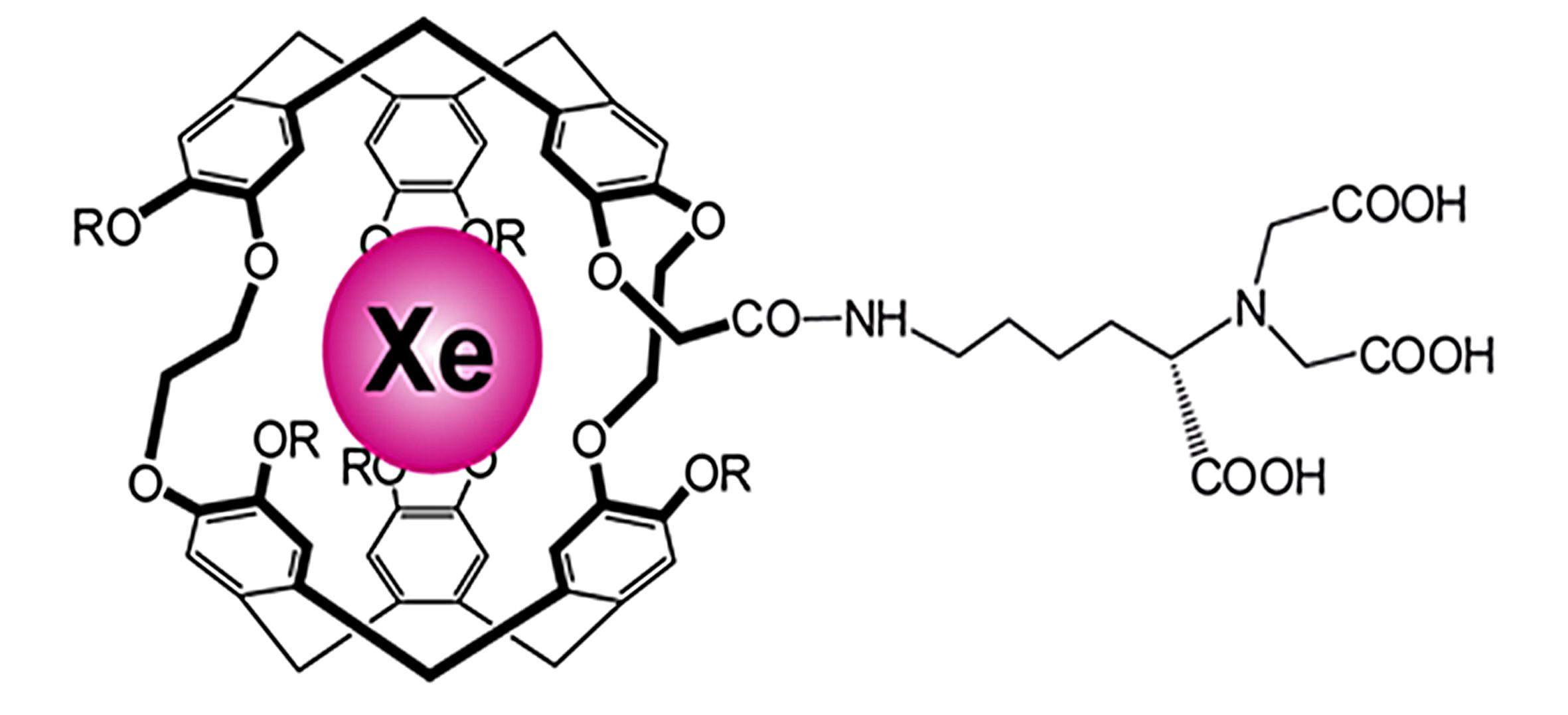 Xenon ligand for Zinc