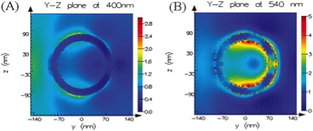 FDTD calculation on Gold nanoshells