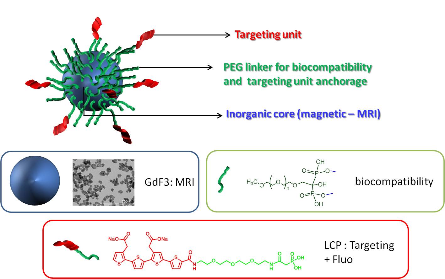 Multimodal GdF3 nanoparticles