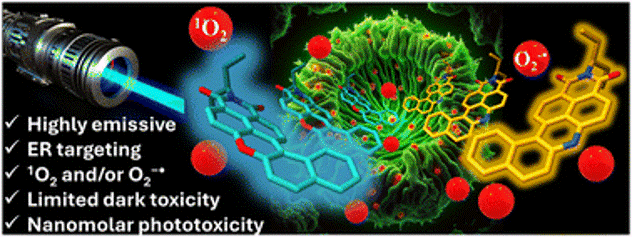Photodynamic Therapy