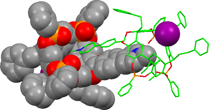 rx cavitand