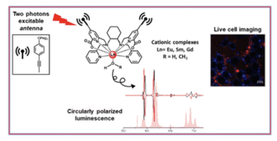 https://media.springernature.com/lw685/springer-static/image/art%3A10.1038%2Fs41467-023-36782-9/MediaObjects/41467_2023_36782_Fig1_HTML.png?