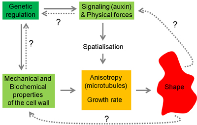 Diagram