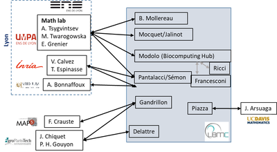 Fig. 1 . Overview of current interactions between LBMC teams and mathematicians