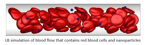 LB simulation of a blood flow containing red blood cells and nanoparticles