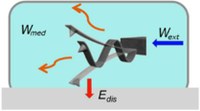 Development and applications of atomic force microscopy for the study of proteins and cancer cells