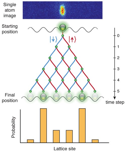 Quantum walks with neutral atoms: A look into the motion of a quantum particle