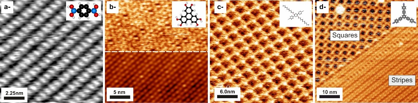 Structural and optical properties of organic nanostructures on dielectric substrates in the monolayer regime: recent trends