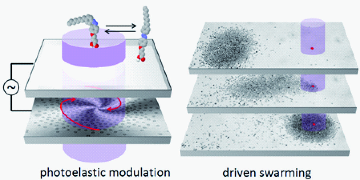 Reconfigurable swarms of nematic colloids controlled by photoactivated surface patterns