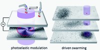 Reconfigurable swarms of nematic colloids controlled by photoactivated surface patterns