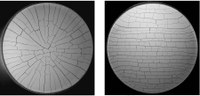 Two seminars on crack patterns