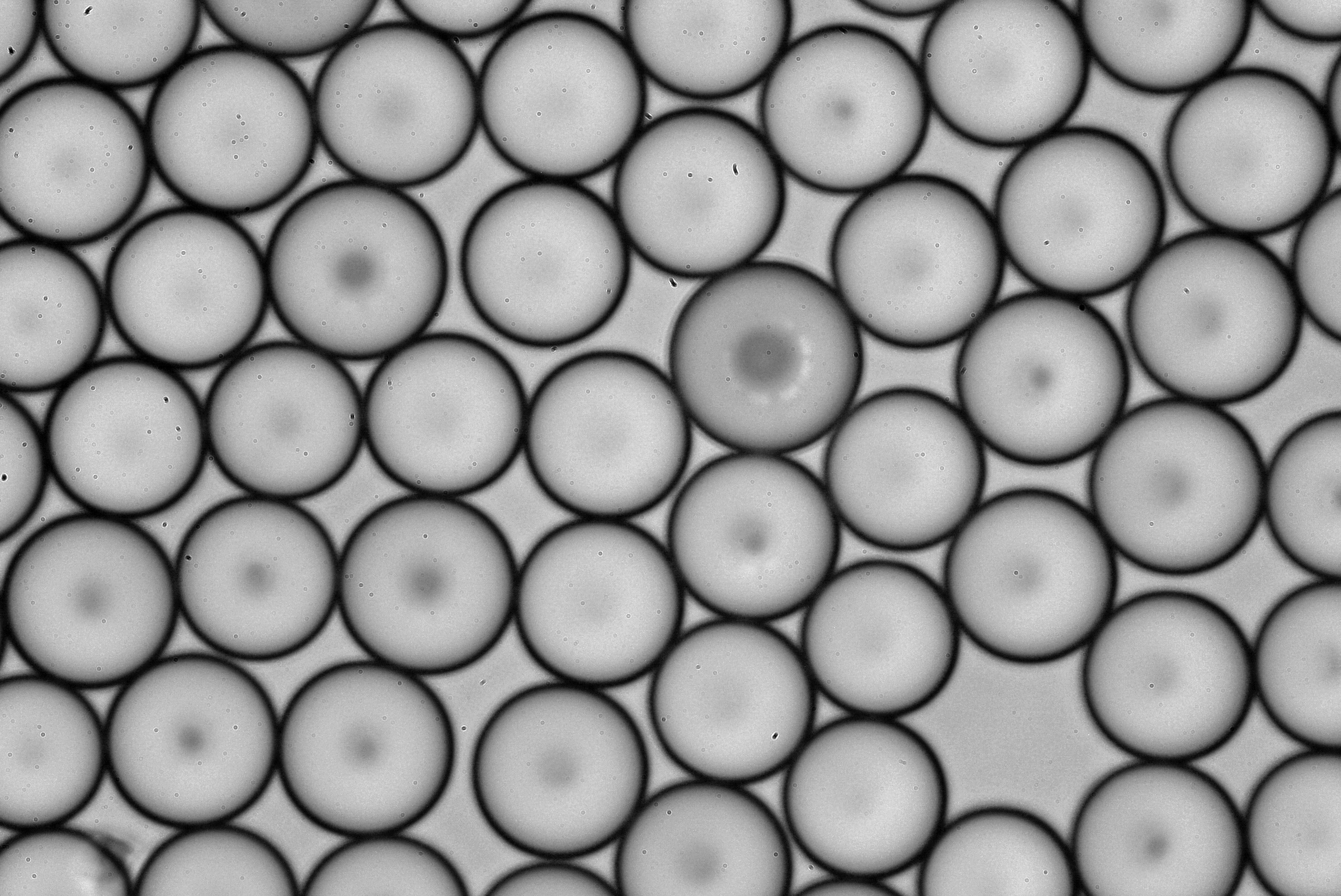A first experimental step to understand the physics of shear-thickening suspensions
