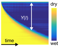 Nanoscale effects in porous media dynamics : capillary nanoflows, capillary condensation, imbibition and cavitation