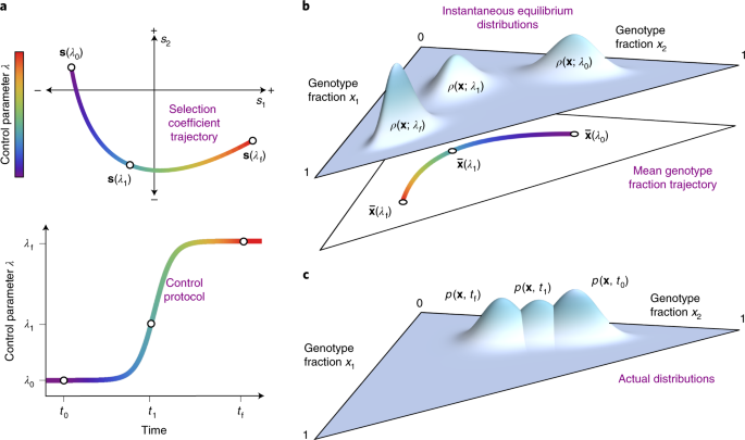 Counterdiabatic control of biological populations